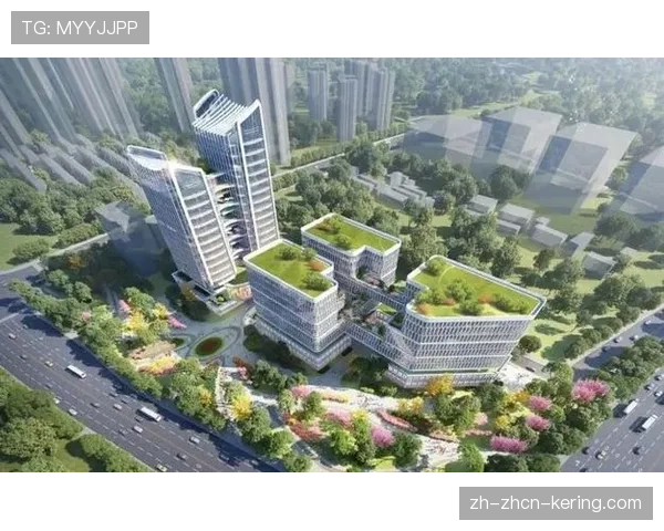 法兰克福经济创新支撑竞技，足球旅游产业链开发